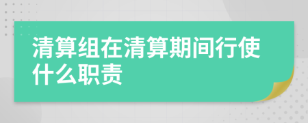清算組在清算期間行使什么職責(zé)
