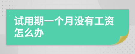 試用期一個月沒有工資怎么辦