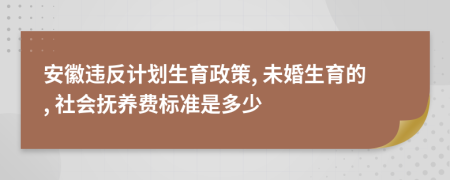 安徽違反計(jì)劃生育政策, 未婚生育的, 社會(huì)撫養(yǎng)費(fèi)標(biāo)準(zhǔn)是多少