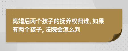 離婚后兩個孩子的撫養(yǎng)權(quán)歸誰, 如果有兩個孩子, 法院會怎么判