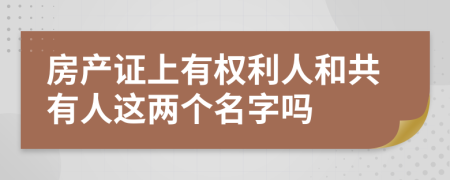 房產(chǎn)證上有權(quán)利人和共有人這兩個名字嗎