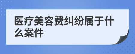 醫(yī)療美容費糾紛屬于什么案件