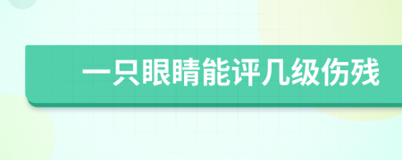 一只眼睛能評(píng)幾級(jí)傷殘