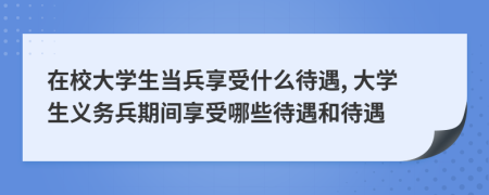在校大學生當兵享受什么待遇, 大學生義務兵期間享受哪些待遇和待遇