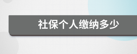 社保個人繳納多少
