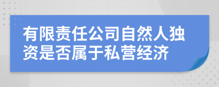 有限責(zé)任公司自然人獨資是否屬于私營經(jīng)濟(jì)
