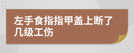 左手食指指甲蓋上斷了幾級工傷