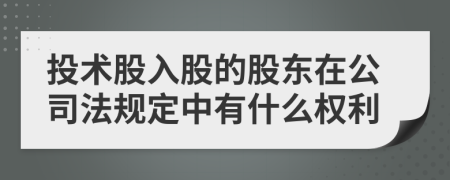 投術(shù)股入股的股東在公司法規(guī)定中有什么權(quán)利
