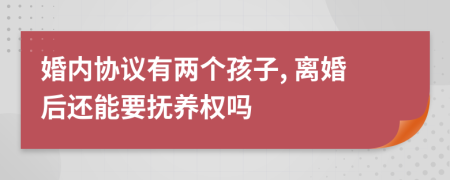 婚內(nèi)協(xié)議有兩個孩子, 離婚后還能要撫養(yǎng)權(quán)嗎
