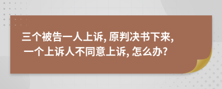 三個(gè)被告一人上訴, 原判決書(shū)下來(lái), 一個(gè)上訴人不同意上訴, 怎么辦?