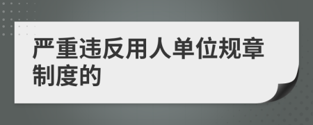 嚴(yán)重違反用人單位規(guī)章制度的