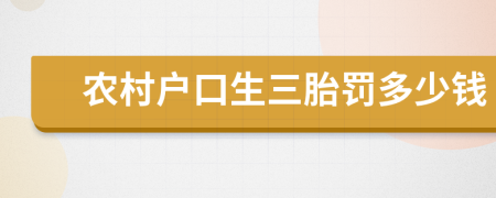 農(nóng)村戶口生三胎罰多少錢