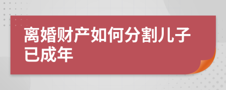 離婚財產(chǎn)如何分割兒子已成年