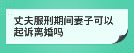 丈夫服刑期間妻子可以起訴離婚嗎