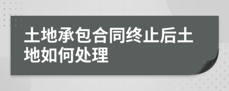 土地承包合同終止后土地如何處理