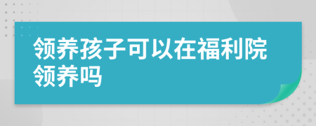 領(lǐng)養(yǎng)孩子可以在福利院領(lǐng)養(yǎng)嗎