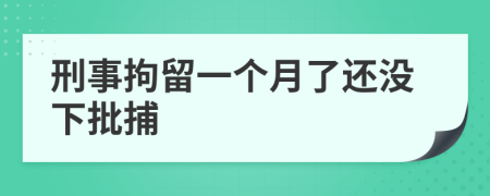 刑事拘留一個(gè)月了還沒(méi)下批捕
