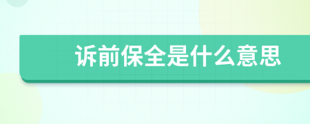 訴前保全是什么意思