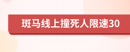 斑馬線上撞死人限速30