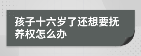 孩子十六歲了還想要撫養(yǎng)權(quán)怎么辦