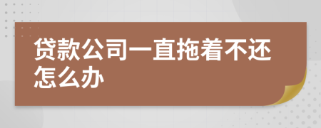 貸款公司一直拖著不還怎么辦