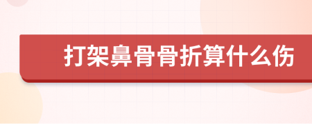 打架鼻骨骨折算什么傷