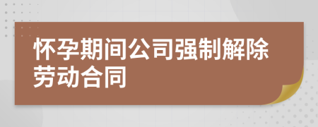 懷孕期間公司強(qiáng)制解除勞動合同