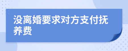 沒(méi)離婚要求對(duì)方支付撫養(yǎng)費(fèi)