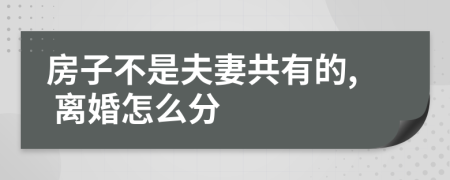 房子不是夫妻共有的, 離婚怎么分