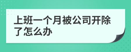 上班一個月被公司開除了怎么辦