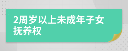 2周歲以上未成年子女撫養(yǎng)權(quán)