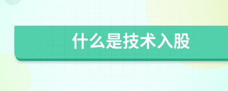 什么是技術(shù)入股