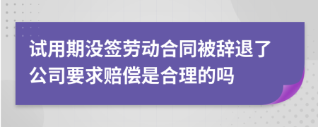 試用期沒(méi)簽勞動(dòng)合同被辭退了公司要求賠償是合理的嗎
