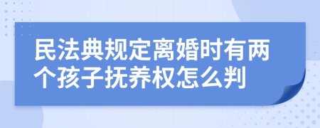 民法典規(guī)定離婚時(shí)有兩個(gè)孩子撫養(yǎng)權(quán)怎么判