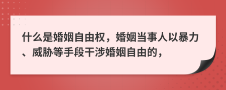 什么是婚姻自由權(quán)，婚姻當(dāng)事人以暴力、威脅等手段干涉婚姻自由的，