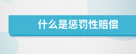 什么是懲罰性賠償