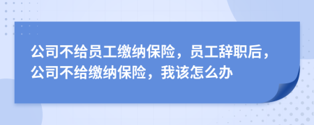 公司不給員工繳納保險，員工辭職后，公司不給繳納保險，我該怎么辦