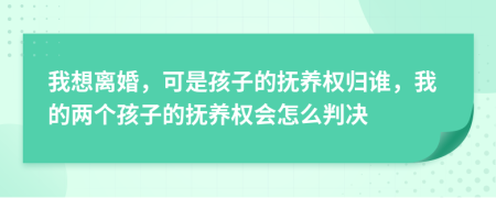 我想離婚，可是孩子的撫養(yǎng)權(quán)歸誰，我的兩個孩子的撫養(yǎng)權(quán)會怎么判決