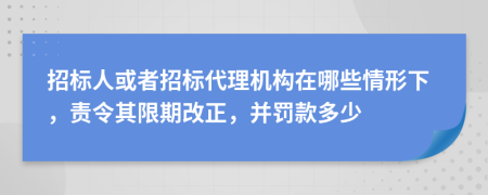 招標(biāo)人或者招標(biāo)代理機(jī)構(gòu)在哪些情形下，責(zé)令其限期改正，并罰款多少