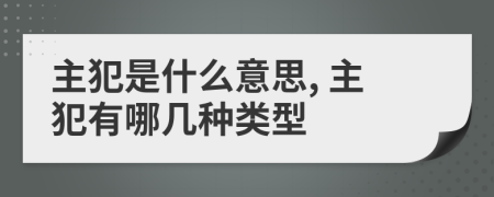 主犯是什么意思, 主犯有哪幾種類型