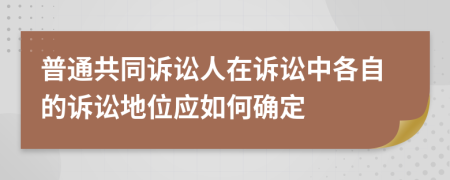 普通共同訴訟人在訴訟中各自的訴訟地位應(yīng)如何確定