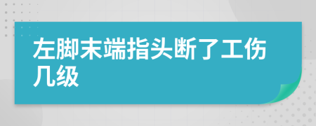 左腳末端指頭斷了工傷幾級