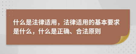 什么是法律適用，法律適用的基本要求是什么，什么是正確、合法原則