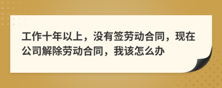 工作十年以上，沒有簽勞動合同，現(xiàn)在公司解除勞動合同，我該怎么辦