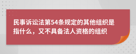 民事訴訟法第54條規(guī)定的其他組織是指什么，又不具備法人資格的組織