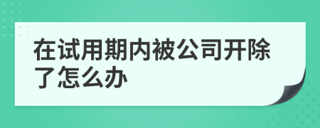 在試用期內被公司開除了怎么辦