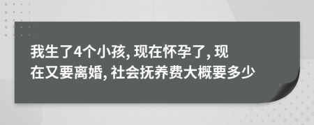我生了4個(gè)小孩, 現(xiàn)在懷孕了, 現(xiàn)在又要離婚, 社會(huì)撫養(yǎng)費(fèi)大概要多少