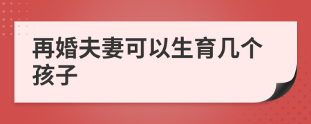 再婚夫妻可以生育幾個(gè)孩子