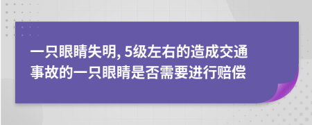 一只眼睛失明, 5級(jí)左右的造成交通事故的一只眼睛是否需要進(jìn)行賠償