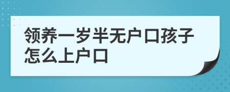 領(lǐng)養(yǎng)一歲半無(wú)戶口孩子怎么上戶口